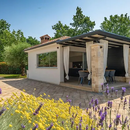 Marchi With 3 Bedrooms And Pool In Vizinada * Vranje Selo